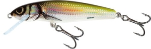 Salmo Minnow 6cm 6g Holo Bleak S