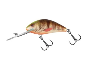 SALMO HORNET 6cm 10g Spotted Brown Perch FL