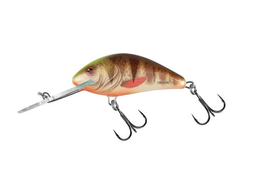 SALMO HORNET 6cm 10g Spotted Brown Perch FL.jpg