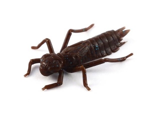 FishUP Dragonfly 3cm #012 Chaos 10szt