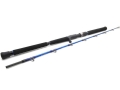W6 Jigging-T 1,55m L 80-220g.jpg