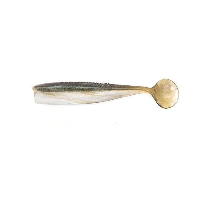 Shaker_ Arkansas_Shiner